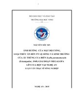 Ảnh hưởng của mật độ ương, loại thức ăn đến tỷ lệ sống và sinh trưởng của ấu trùng cua biển scylla paramamosain (estampador, 1949) giai đoạn megalopa lên cua bột tại nghệ an 