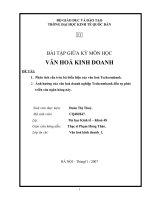 Đề tài: Ảnh hưởng của văn hóa doanh nghiệp Techcombank đến sự phát triển của ngân hàng này