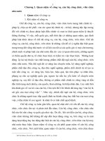 luận văn thạc sĩ công vụ công chức