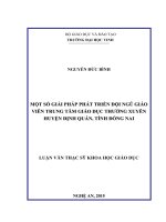 ột số giải pháp phát triển đội ngũ giáo viên trung tâm giáo dục thường xuyên huyện định quán, tỉnh đồng nai 