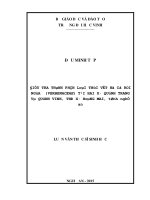 Điều tra thành phần loài thực vật họ cỏ roi ngựa (verbenaceae) tại hai xã quỳnh trang và quỳnh vinh, thị xã hoàng mai, tỉnh nghệ an 