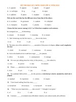 Đề thi học kì 2 môn Anh lớp 11 có đáp án năm 2014 (P5)