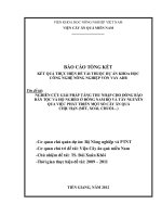 Nghiên cứu giải pháp tăng thu nhập cho đồng bào dân tộc và hộ nghèo ở đông nam bộ và tây nguyên qua việc phát triển một số cây ăn quả chịu hạn (mít, xoài, chuối   ) 