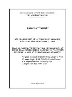 Nghiên cứu tuyển chọn, nhân giống và kỹ thuật thâm canh ổi không hạt phục vụ phát triển sản xuất tại một số tỉnh đồng bằng sông hồng 