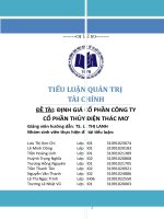 ĐỊNH GIÁ CỔ PHẦN CÔNG TY CỔ PHẦN THỦY ĐIỆN THÁC MƠ