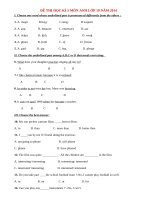 Đề thi học kì 2 môn Anh lớp 10 có đáp án năm 2014 (P10)