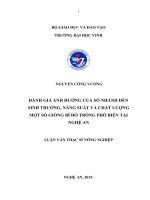 Đánh giá ảnh hưởng của số nhánh đến sinh trưởng, năng suất và chất lượng một số giống bí đỏ trồng phổ biến tại nghệ an 