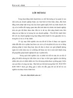 Đề tài Rủi ro tài chính