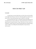 PHÂN TÍCH KẾT QUẢ HOẠT ĐỘNG KINH DOANH CỦA CÔNG TY CỔ PHẦN CAO SU ĐÀ NẴNG