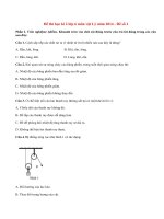 Đề thi học kì 2 lớp 6 môn Lý năm 2014 THCS Mỹ Hưng