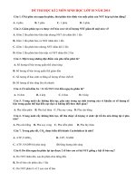 Đề thi học kì 2 môn Sinh lớp 10 năm 2014 (P3)