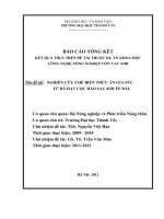 Nghiên cứu chế biến thức ăn gia súc từ bã hạt cọc rào sau khi ép dầu 