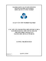 CÁC YẾU TỐ ẢNH HƯỞNG ĐẾN HÀNH VI MUA  SẢN PHẨM HÀNG TIÊU DÙNG NHANH THƯƠNG HIỆU NGOẠI CỦA  NGƯỜI TIÊU DÙNG Ở TP.HCM - LV ĐẠI HỌC BÁCH KHOA