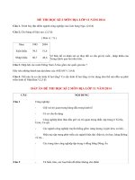 Đề thi học kì 2 môn Địa lí lớp 11 năm 2014 (P4)