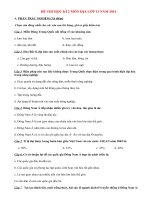 Đề thi học kì 2 môn Địa lí lớp 11 năm 2014 (P5)