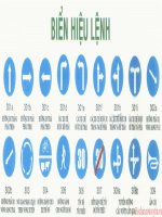 Biển hiệu lệnh biển báo giao thông đường bộ 
