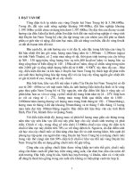 Nghiên cứu xác định kỹ thuật canh tác hợp lý đối với cây chuối mốc trên vùng đất đồi núi ở vùng duyên hải nam trung bộ 