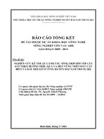 Nghiên cứu kỹ thuật canh tác tổng hợp đối với cây sắn theo hướng hiệu quả và bền vững trên đất cát biển và đất đồi gò ở vùng duyên hải nam trung bộ 