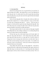 Sinh kế của người dao trong quá trình hội nhập và phát triển – trường hợp người dao đỏ ở tả phìn 