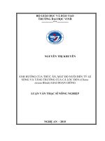 Ảnh hưởng của thức ăn, mật độ nuôi đến tỷ lệ sống và tăng trưởng của cá lóc đen (channa striata bloch, 1973) giai đoạn giống 