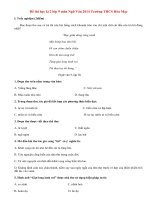 Đề thi học kì 2 lớp 9 môn Ngữ Văn 2014 THCS Hòa Mạc