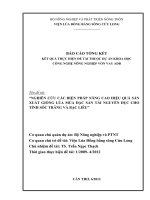 NGHIÊN cứu các BIỆN PHÁP NÂNG CAO HIỆU QUẢ sản XUẤT GIỐNG lúa mùa đặc sản tài NGUYÊN đục CHO TỈNH sóc TRĂNG và bạc LIÊU 