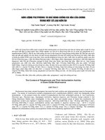 pholyphenol nghiên cưu khả năng chống oxi hóa