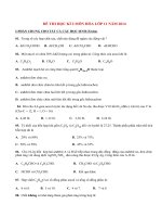 Đề thi học kì 2 môn Hóa lớp 11 năm 2014 (P4)