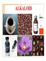 tài liệu về alkaloid