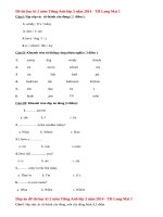 Đề thi học kì 2 lớp 3 môn Tiếng Anh năm 2014 - TH Long Mai 1