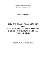 Điều tra thành phần loài của lớp tảo silic (bacillariophyceae) ở sông hộ độ, huyện lộc hà, tỉnh hà tĩnh 