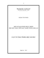 Một số giải pháp phát triển đội ngũ giáo viên dạy nghề tỉnh long an 