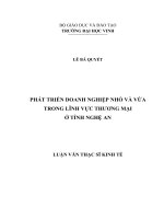 Phát triển doanh nghiệp nhỏ và vừa trong lĩnh vực thương mại ở tỉnh nghệ an 