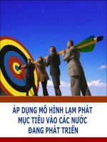 ÁP DỤNG MÔ HÌNH LẠM PHÁT MỤC TIÊU VÀO CÁC NƯỚC ĐANG PHÁT TRIỂN