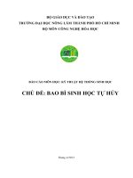 CHỦ đề BAO bì SINH học tự hủy
