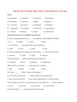 Đề thi thử đại học môn Tiếng Anh khối D,A1 có đáp án năm 2014 (P13)