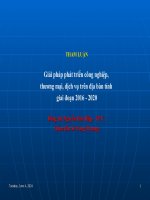 THAM LUẬN  Giải pháp phát triển công nghiệp,  thương mại, dịch vụ trên địa bàn tỉnh  giai đoạn 2016  2020