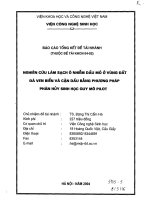 Nghiên cứu làm sạch ô nhiễm dầu mỏ ở vùng đất đá ven biển và cặn dầu bằng phương pháp phân hủy sinh học quy mô pilot