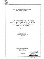 Mấy vấn đề cơ bản của quá trình chuyển biến kinh tế từ tự túc tự cấp sang sản xuất hàng hóa ở huyện miền núi lạc dương