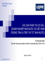 CÁC GIẢI PHÁP TÁI CƠ CẤU DOANH NGHIỆP NHÀ NƯỚC TẠI VIỆT NAM (TRỌNG TÂM LÀ TĐKT VÀ TCT NHÀ NƯỚC)