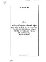 Những biện pháp đồng bộ nâng cao hiệu quả sử dụng lao động thanh niên trong các doanh nghiệp quốc doanh thuộc bộ thương mại
