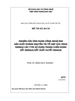 Nghiên cứu ứng dụng công nghệ gen  sản xuất kháng nguyên tái tổ hợp của virus dengue các type sử dụng trong chẩn đoán sốt dengue sốt xuất huyết dengue