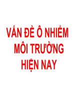VẤN ĐỀ Ô NHIỂM MÔI TRƯỜNG HIỆN NAY