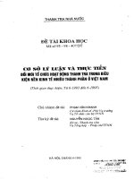 Cơ sở lý luận và thực tiên đổi mới tổ chức hoạt động thanh tra trong điều kiện nền kinh tế nhiều thành phần ở việt nam