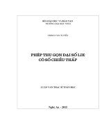 Phép thu gọn đại số lie có số chiều thấp