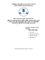 Tiểu luận: Hoạch định chiến lược marketing cho café cao cấp Supreme