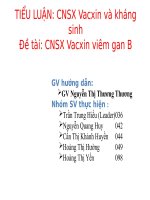 TIỂU LUẬN: CNSX Vacxin và kháng sinhĐề tài: CNSX Vacxin viêm gan B