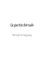 Bài giảng các giao thức định tuyến  định tuyến qua mạng quang