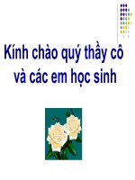 GIÁO ÁN DỰ THI TÍCH HỢP LIÊN MÔNMÔN THỂ DỤC LỚP 10
