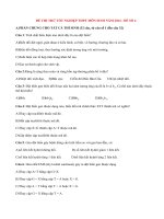 Đề thi thử tốt nghiệp THPT môn Sinh có đáp án năm 2014 (P4)